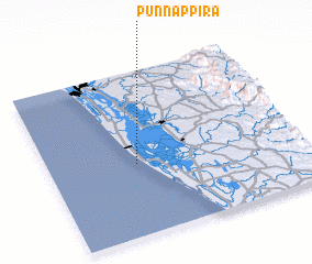 3d view of Punnappira