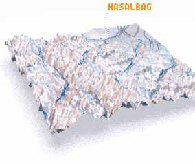 3d view of Hasalbag