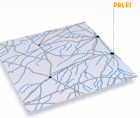 3d view of Palri