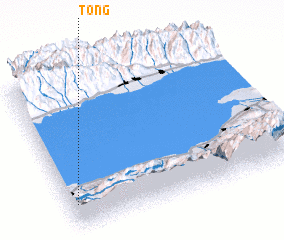 3d view of Tong