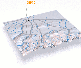 3d view of Pusa