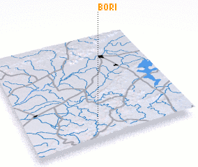3d view of Borī