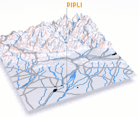 3d view of Pipli