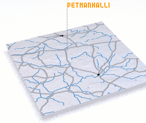 3d view of Petmanhalli