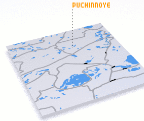 3d view of Puchinnoye