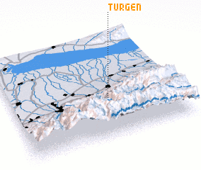 3d view of Türgen