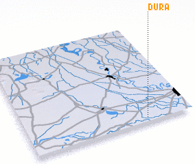 3d view of Dura