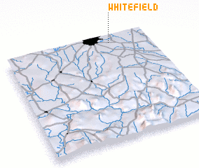 3d view of Whitefield