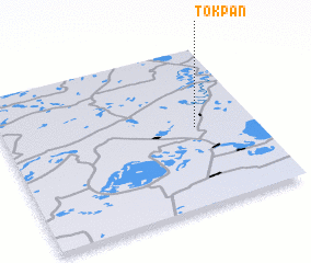 3d view of Tokpan