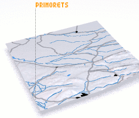 3d view of Primorets
