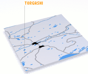 3d view of Torgashi
