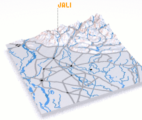 3d view of Jali