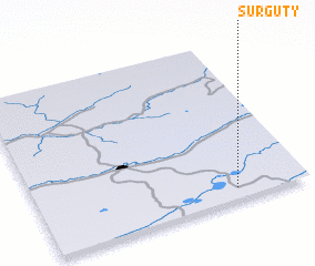 3d view of Surguty