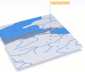 3d view of Tazovskiy