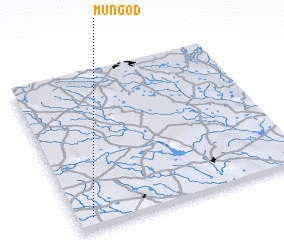 3d view of Mungod