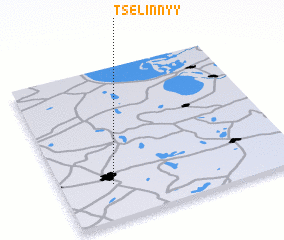 3d view of Tselinnyy