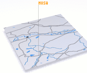 3d view of Musa