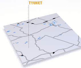 3d view of Tyuket
