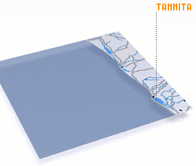 3d view of Tammita