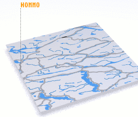 3d view of Hommo