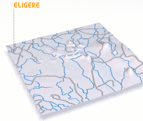 3d view of Eligere