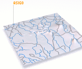 3d view of Asigo