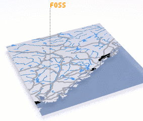 3d view of Foss