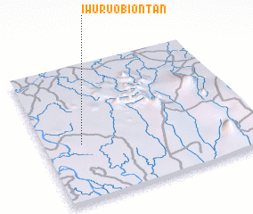 3d view of Iwuru Obiontan