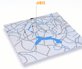 3d view of Jibis