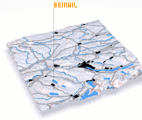 3d view of Beinwil