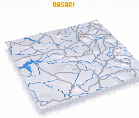 3d view of Nasari