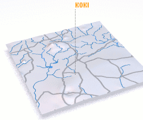 3d view of Koki