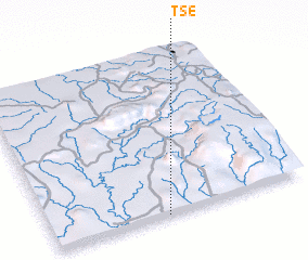 3d view of Tse