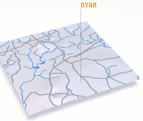 3d view of Nyam