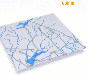 3d view of Guinia