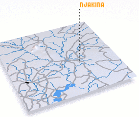 3d view of Njakina