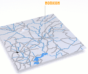 3d view of Monkom