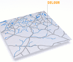 3d view of Séloum