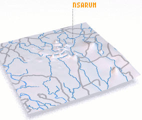 3d view of Nsarum