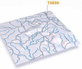 3d view of Torok