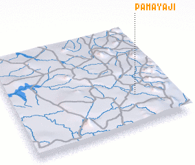 3d view of Pamayaji