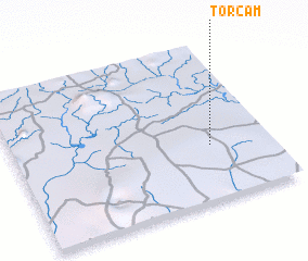 3d view of Torcam