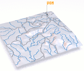 3d view of Vom