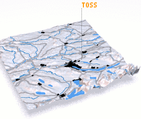 3d view of Töss