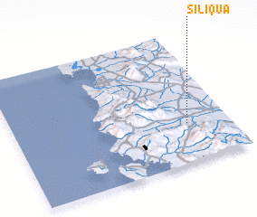 3d view of Siliqua