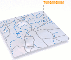 3d view of Tungan Gimba