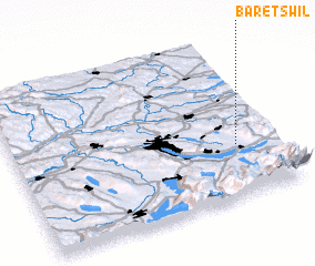 3d view of Bäretswil
