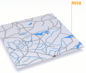 3d view of Musa