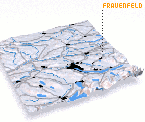 3d view of Frauenfeld