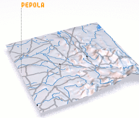 3d view of Pepola